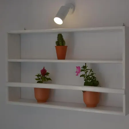 Drouga's Studios&suites * Livadi (Astypalaia)