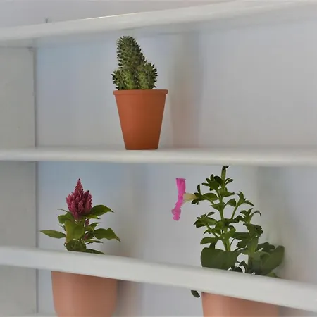 Drouga's & Astypalaia Greece