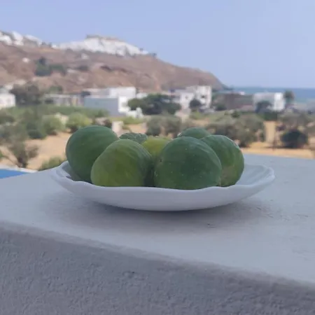 Drouga's & Astypalaia Greece Apartmanhotel