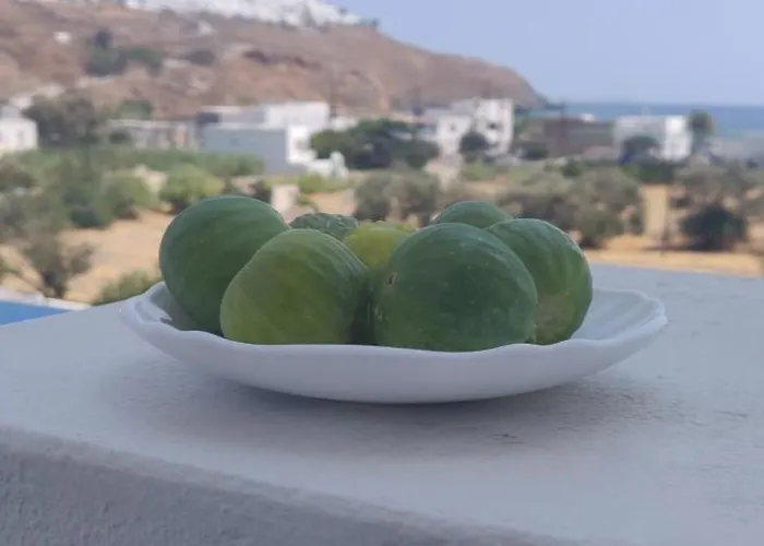 Drouga's & Astypalaia Greece شقة فندقية
